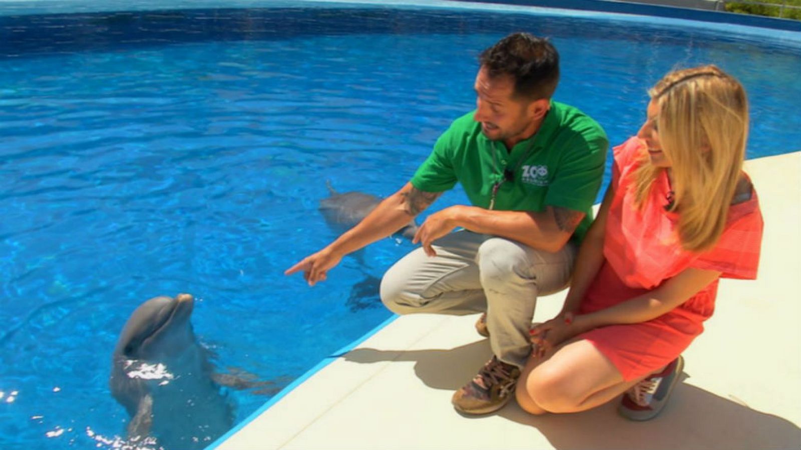 Entre nutrias y delfines