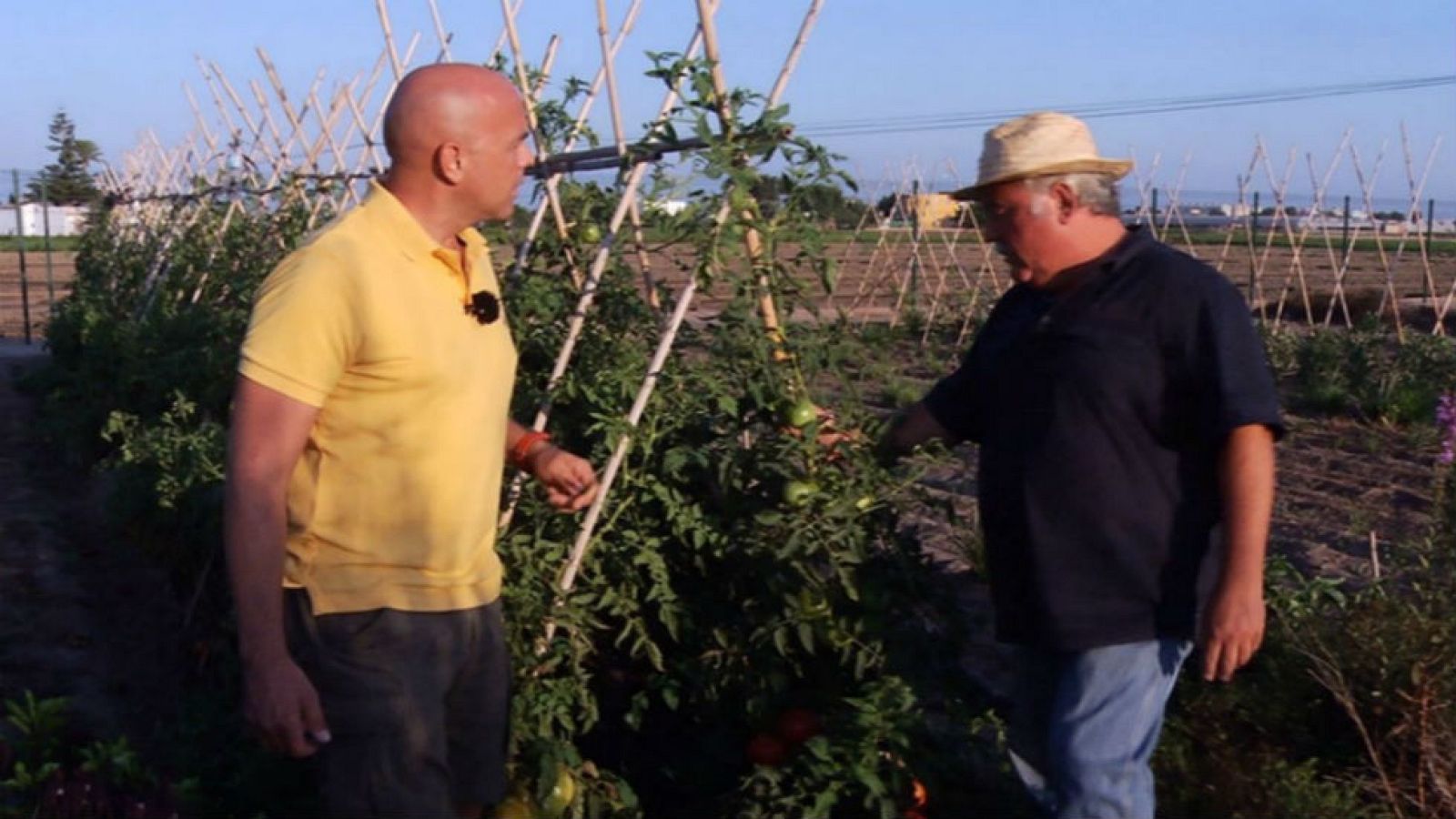 Alboraya, huerta de luz y sabor