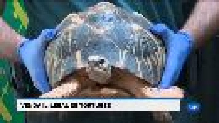 Informatiu Balear - Informatiu Balear en 2' - 22/08/18