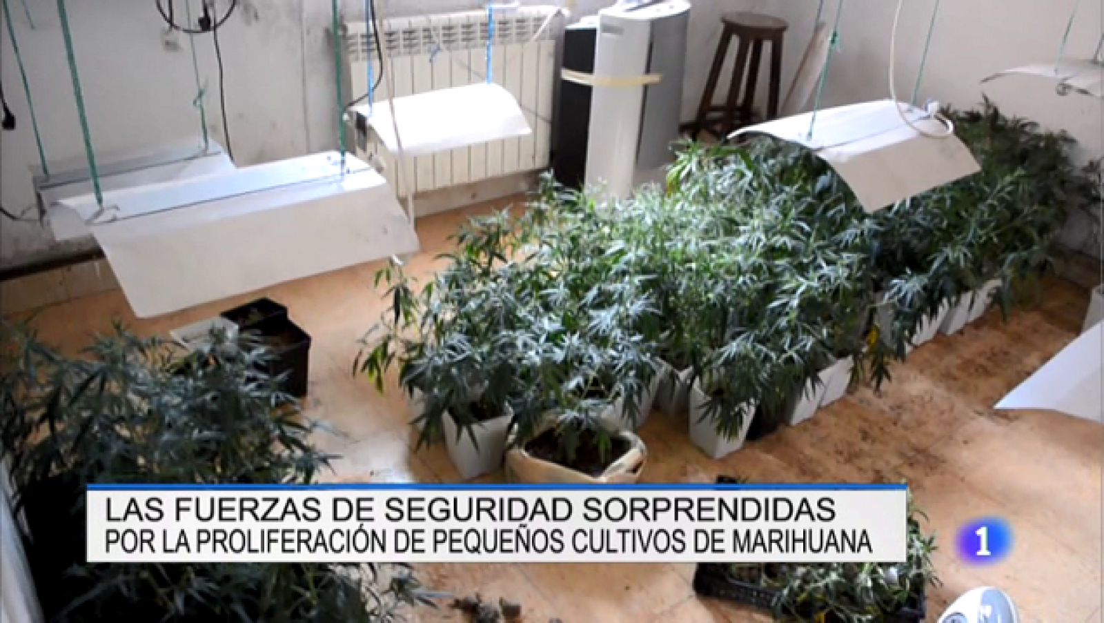 Informativo Telerioja 2 - 22/08/18