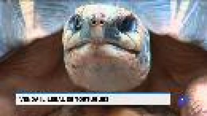 Informatiu Balear - Informatiu Balear 2 - 22/08/18