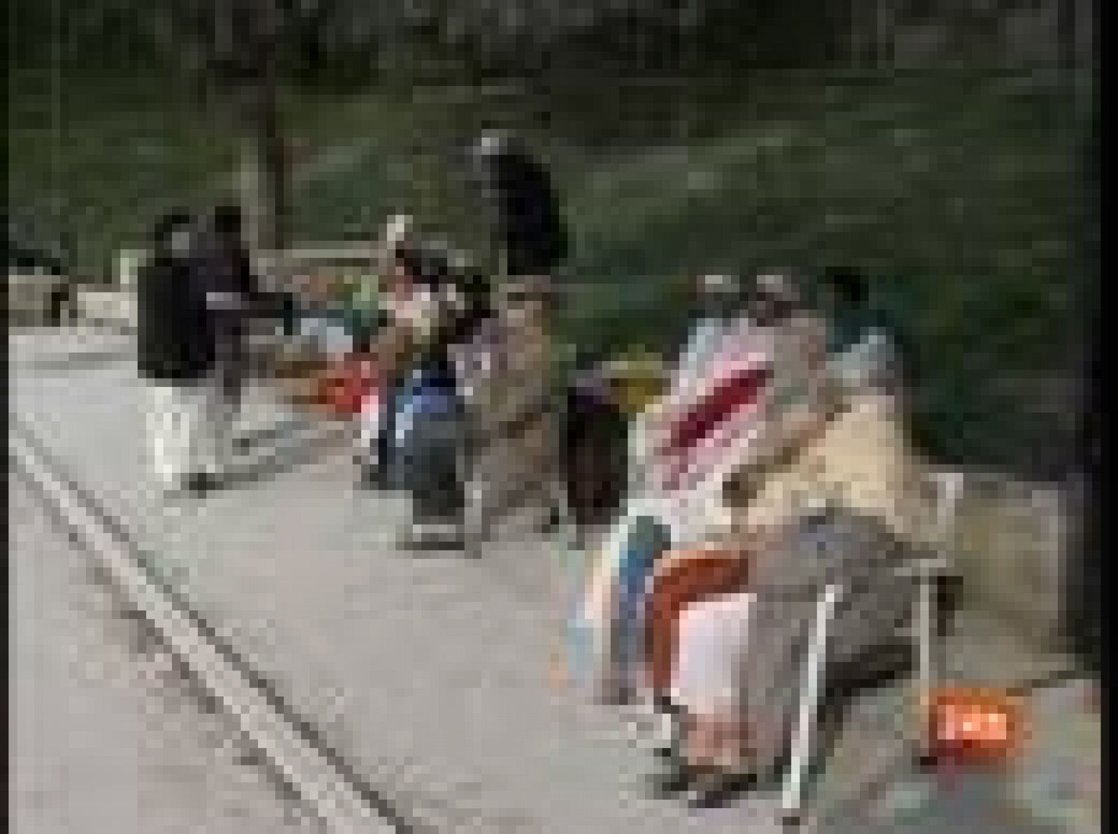 La búsqueda de supervivientes en Italia no cesa 24 horas despues de la tragedia | Ver