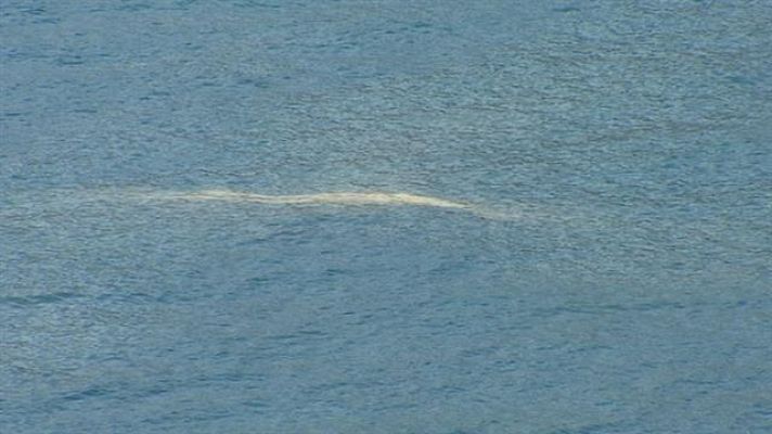 Telecanarias - Canarias en 2' - 23/08/2018