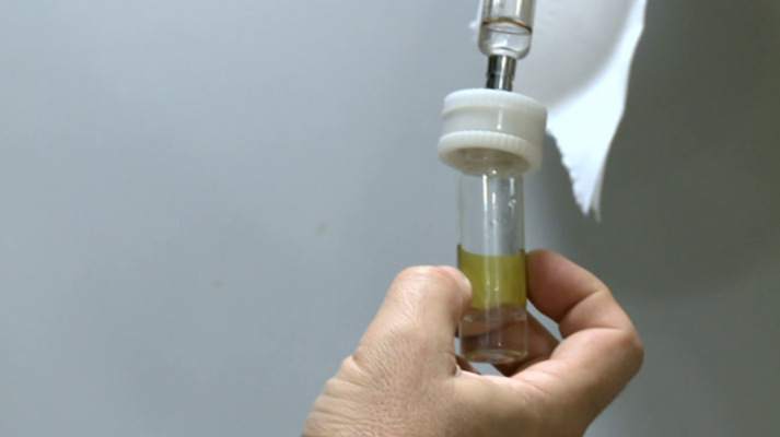 La expedición Malaspina - La Expedición Malaspina