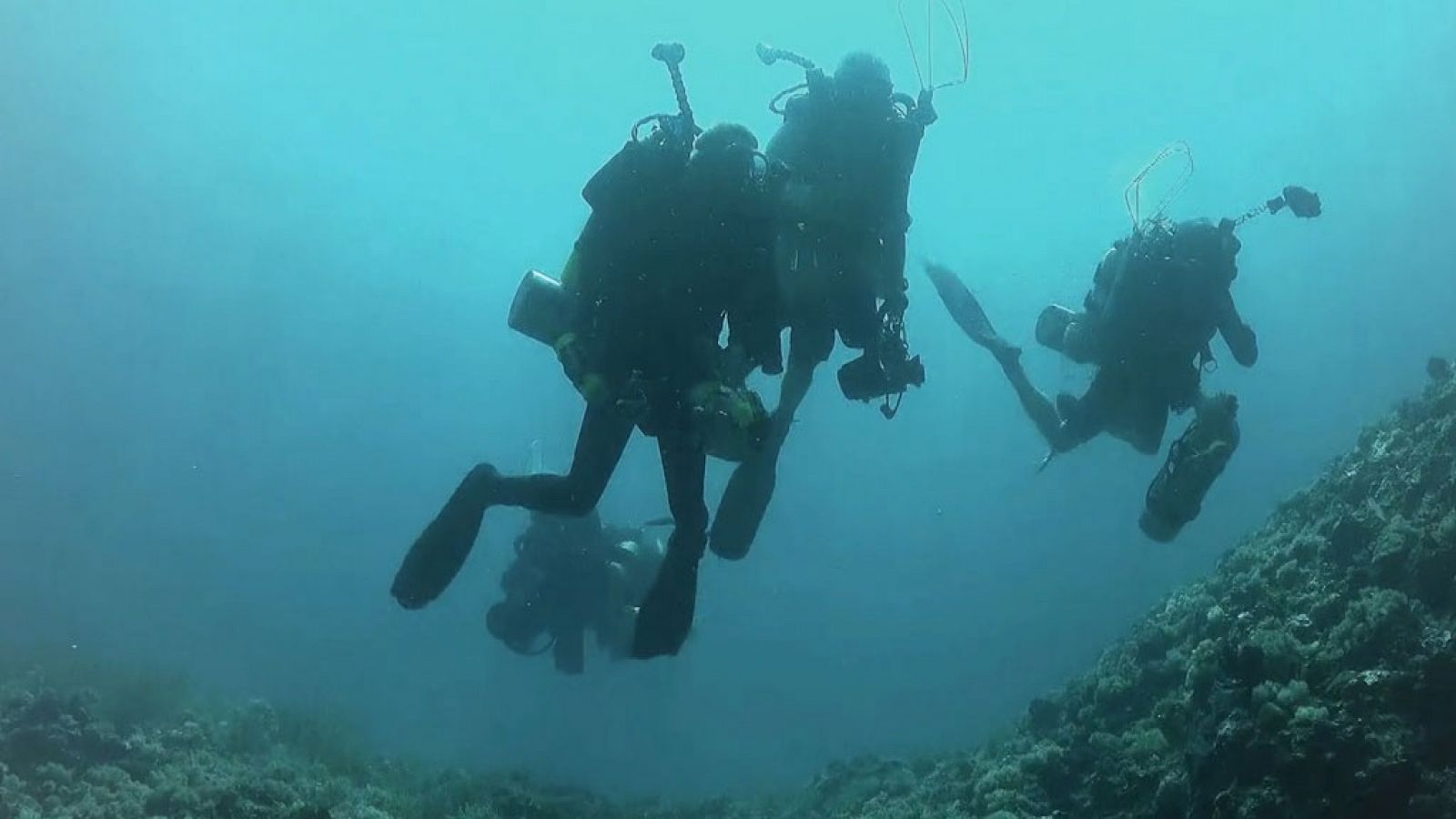 Otros documentales - Ciencia líquida: Océano azul - RTVE.es