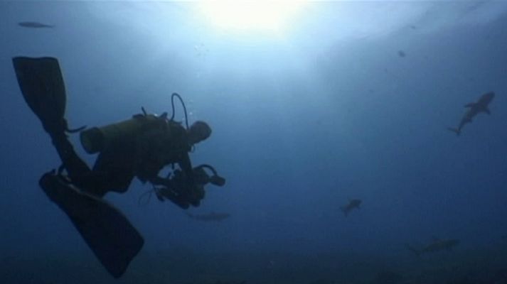 Bubbles - Polinesia francesa