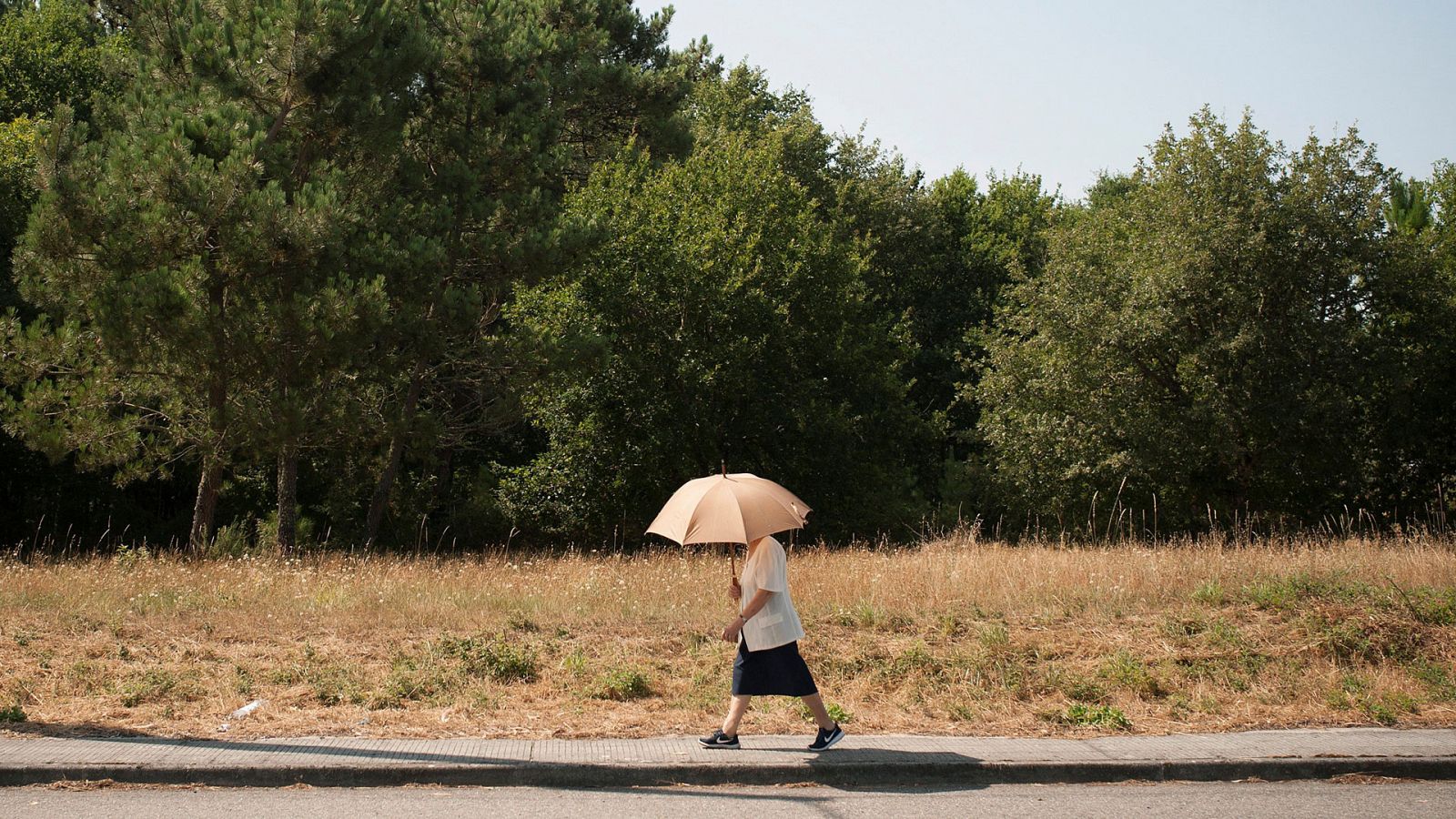 El tiempo: Temperaturas significativamente altas en zonas del interior andaluz. | RTVE Play