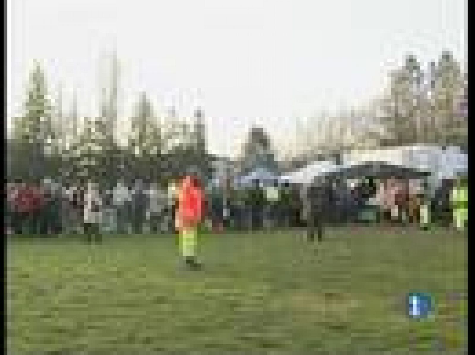 En Italia continúan trabajando sin descanso entre los escombros de los miles de edificios destruidos | Ver