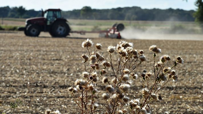 Informativo de Madrid - El Tiempo en la Comunidad de Madrid - 28/08/18
