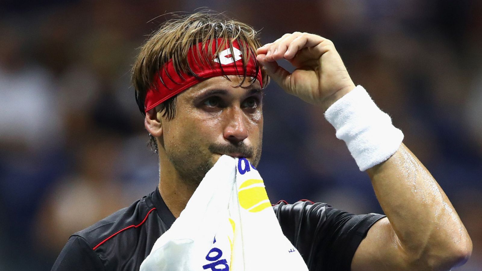 Ferrer anuncia que se acerca su retirada