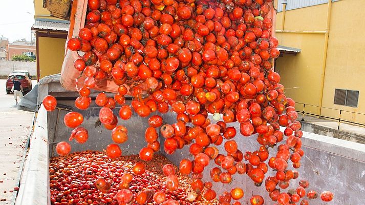 L'informatiu - Comunitat Valenciana - L'Informatiu - Comunitat Valenciana 2 - 28/08/18