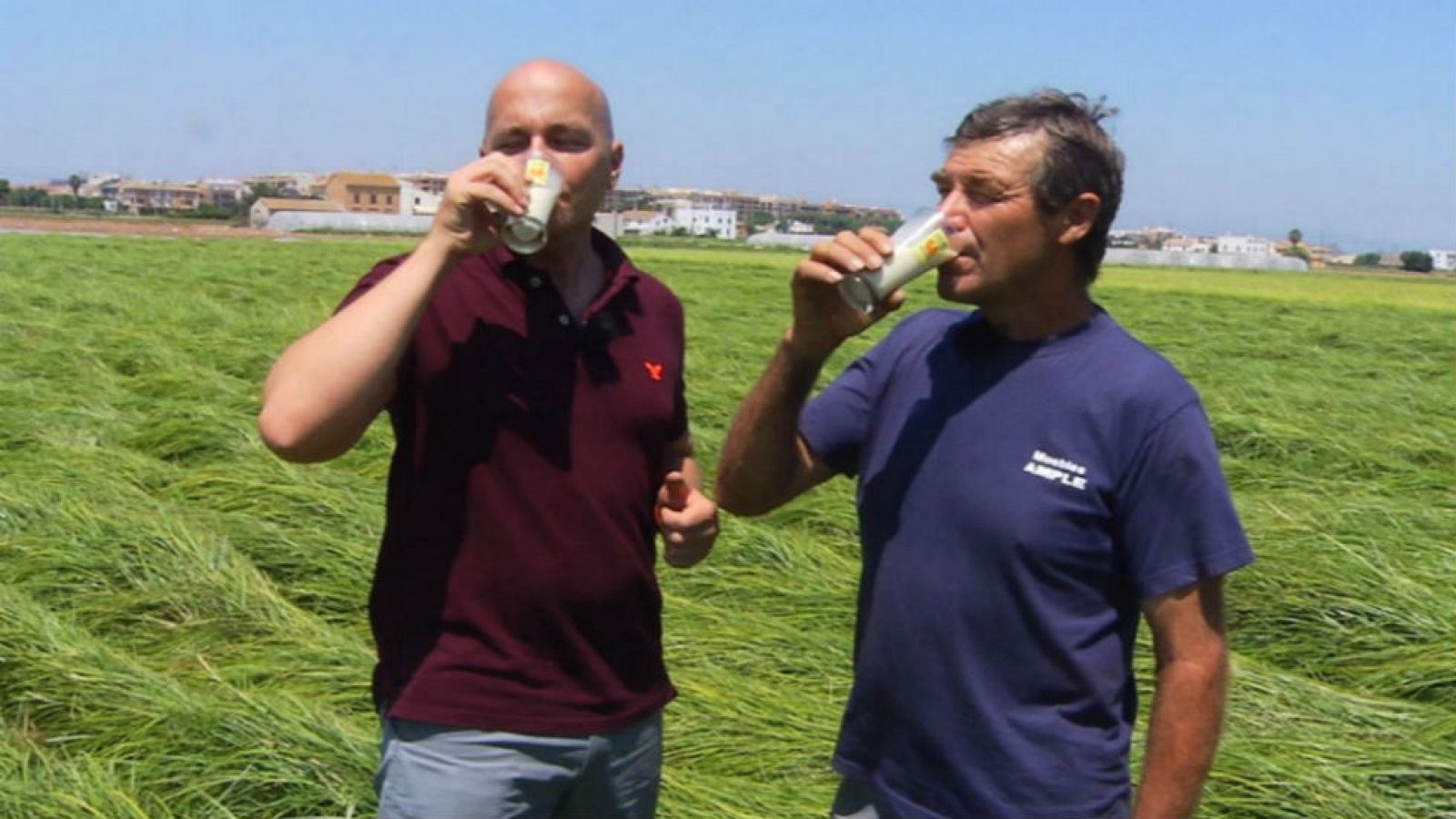 De chufa a horchata con D.O.P