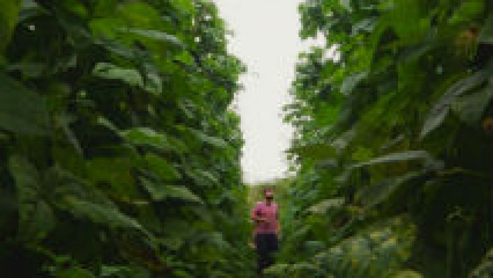 Cómo afecta la mar a la huerta