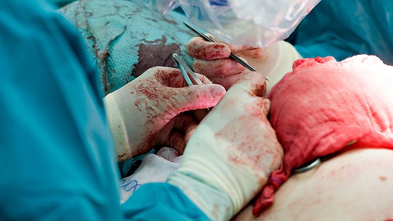 España revalida otro año más su liderazgo mundial en trasplantes