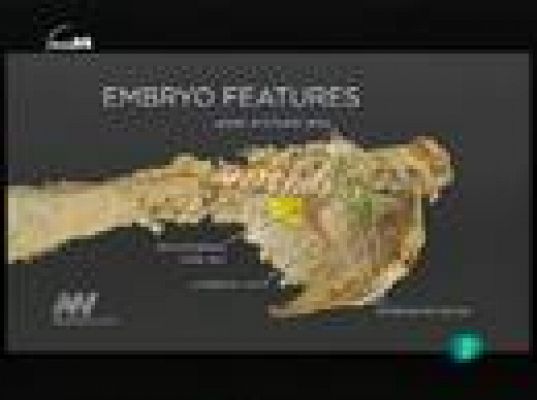 tres14 - Últimas noticias