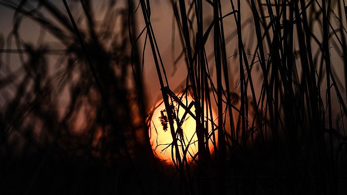 Subida de temperaturas en la mitad oeste peninsular