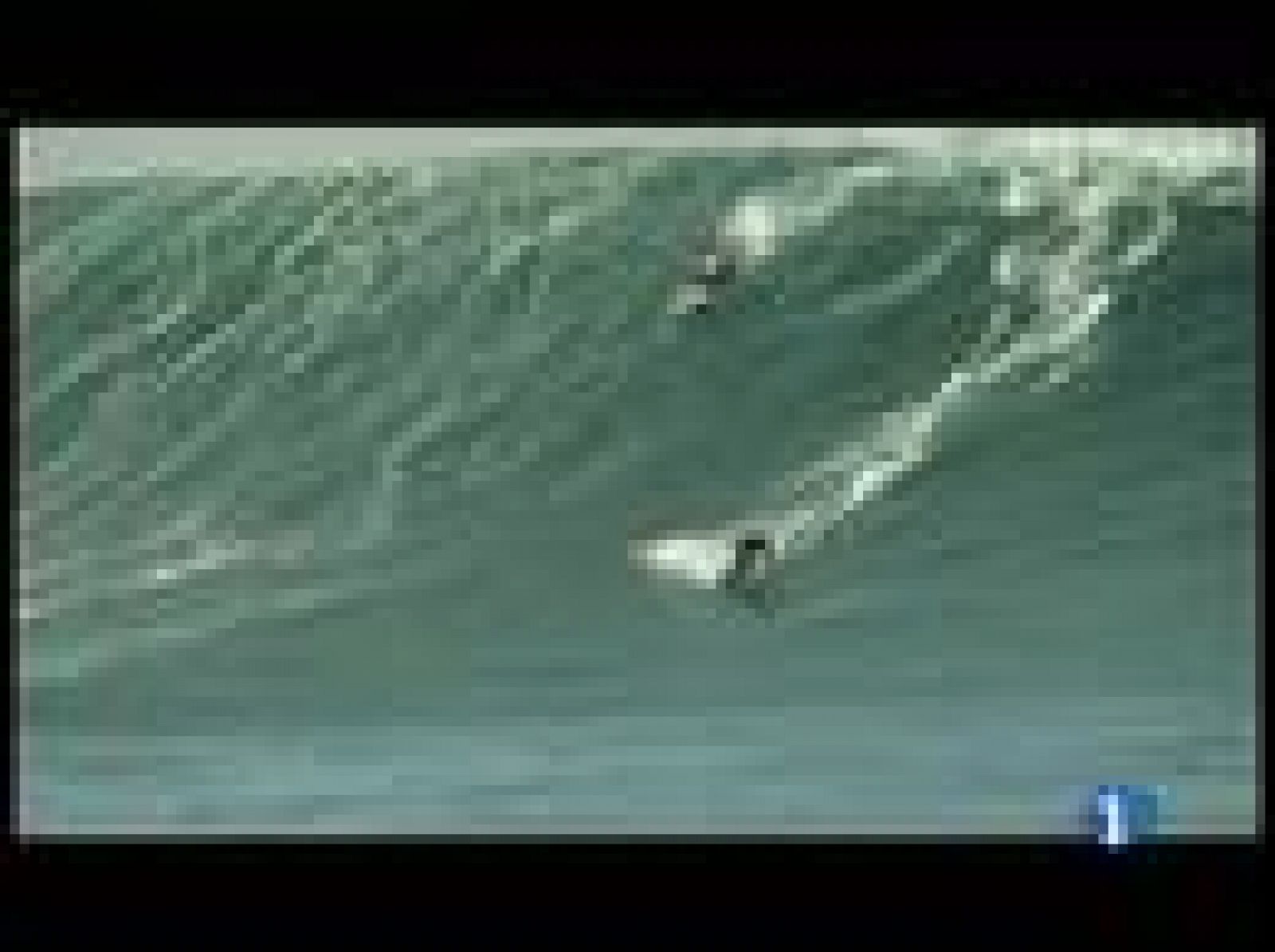 Sin programa: Llegan los Oscar del surf | RTVE Play