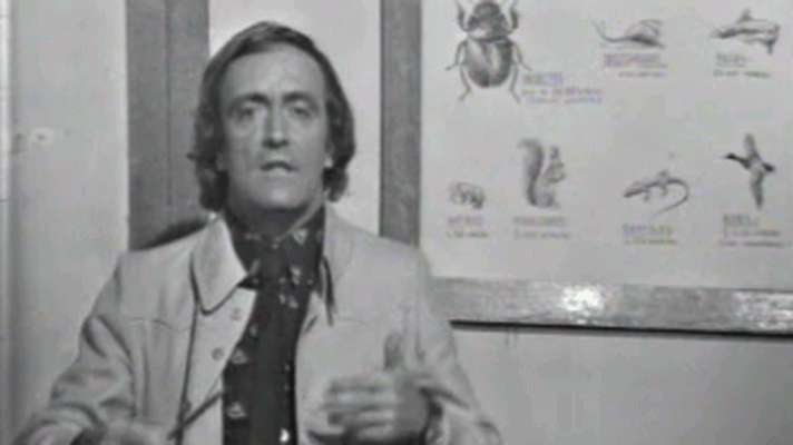 El planeta azul - Los  pequeños gigantes