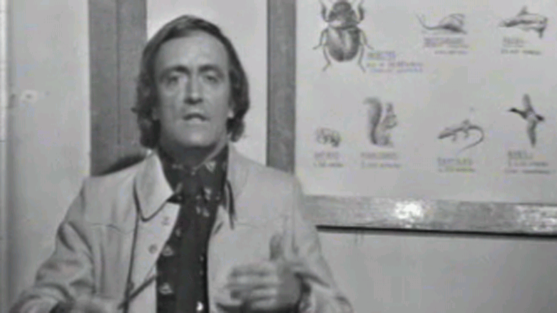 El planeta azul - Los peque�os gigantes 