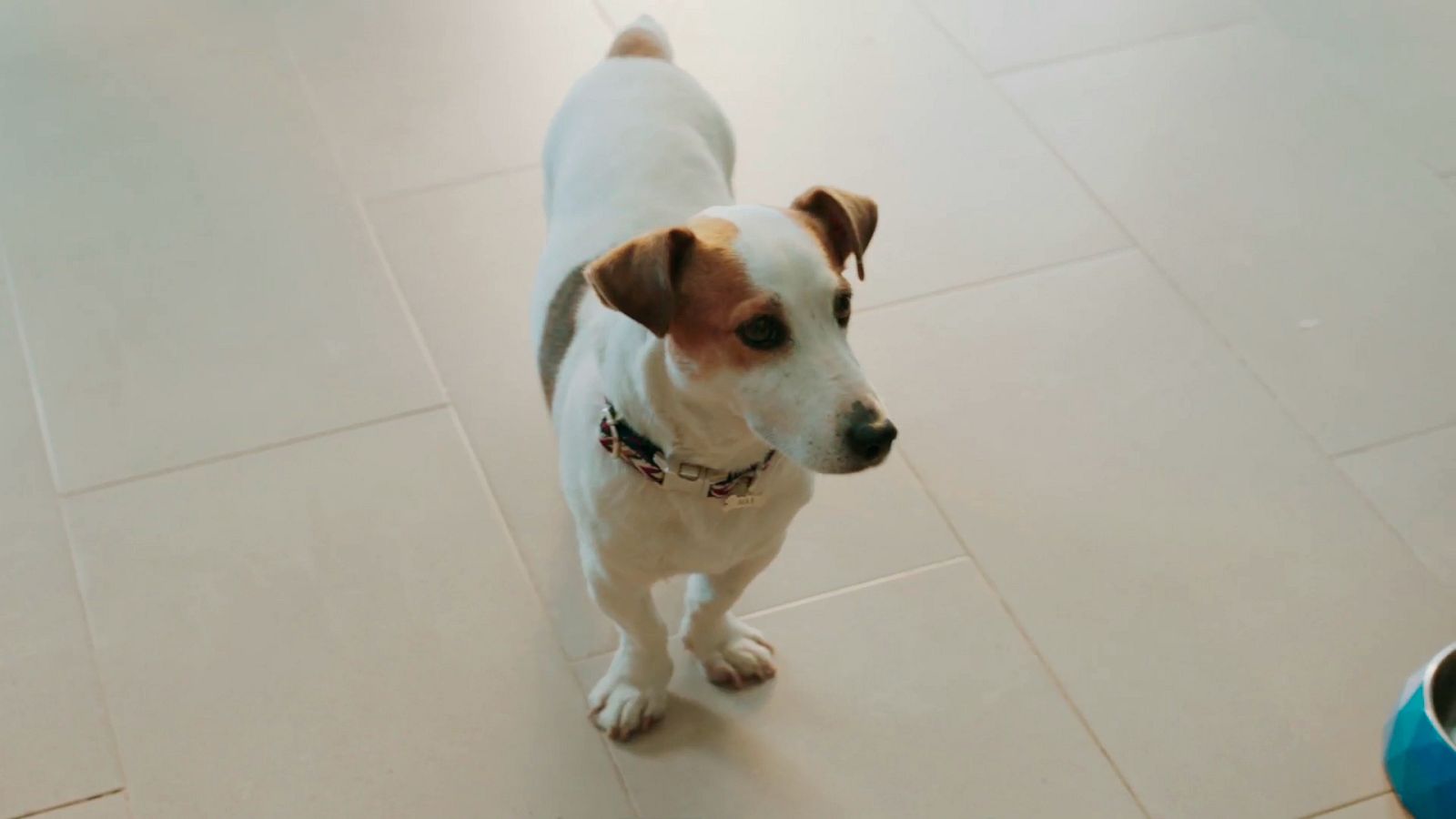 Sabuesos - Así comienza el capítulo 6 de 'Sabuesos'