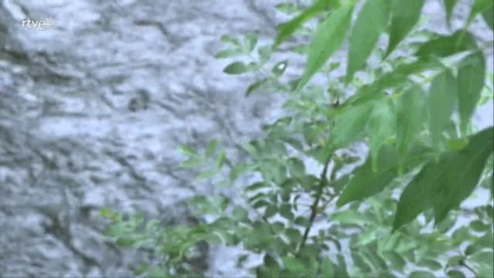 TURISMO RURAL, BRAÑOSERA