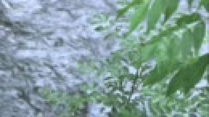 Agrosfera - BRAÑOSERA