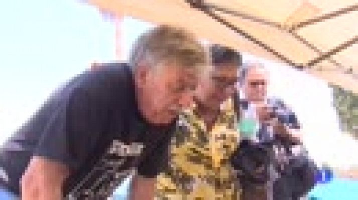 Telediario 1 - Comienzan en Paterna las tareas de recuperación de restos de fusilados de la Guerra Civil