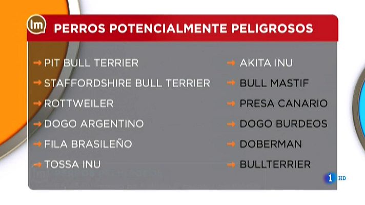 La mañana - Cambia la normativa del cuidado de perros peligrosos