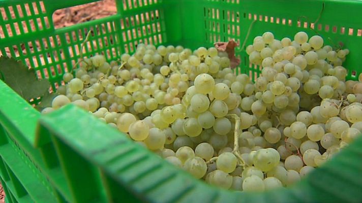 L'informatiu - Comunitat Valenciana - L'Informatiu - Comunitat Valenciana - 07/09/18