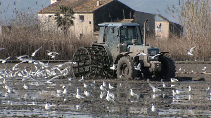Otros documentales - España, la tierra prometida: Un lugar para el entendimiento