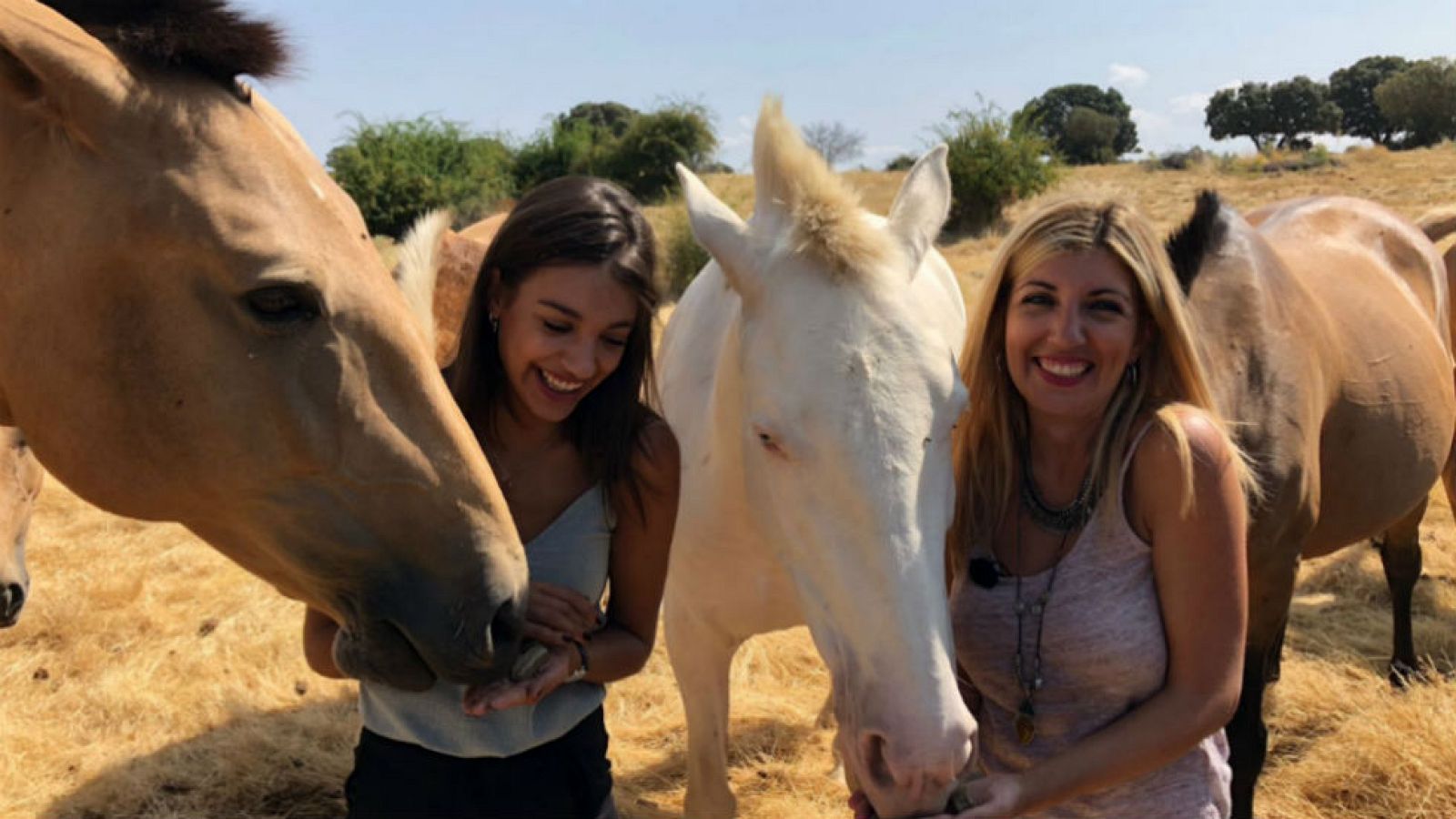 Ana Guerra y su pasión por los caballos