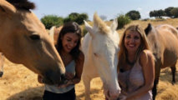 Ana Guerra y su pasión por los caballos 