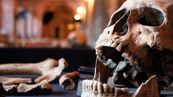 Documenta2 - El regreso de la Peste Negra