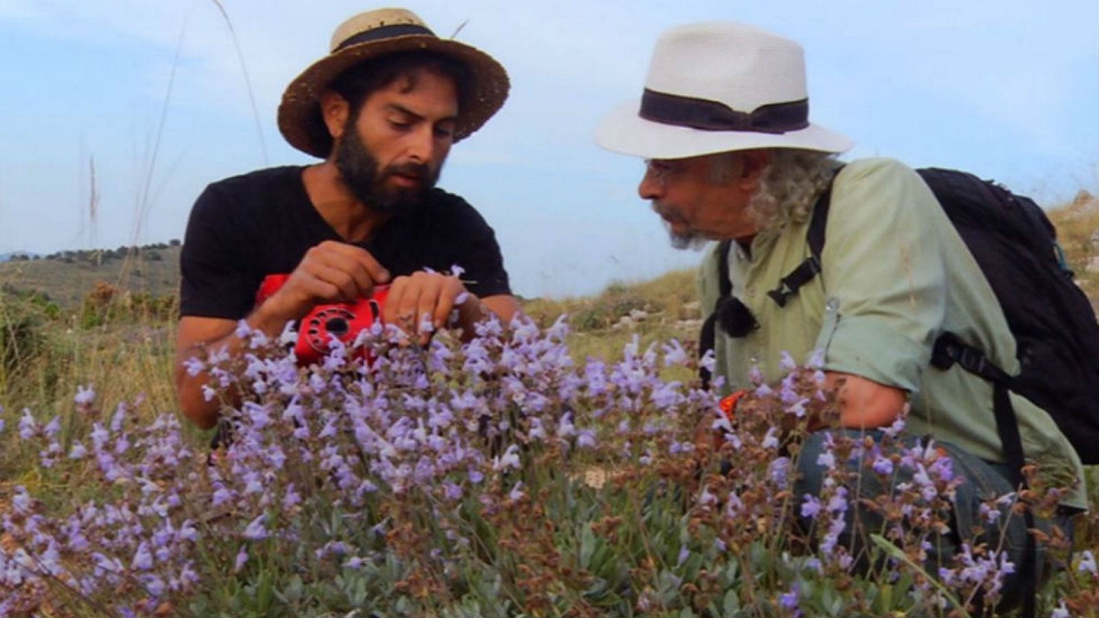 Dos hombres en la senda vegetal