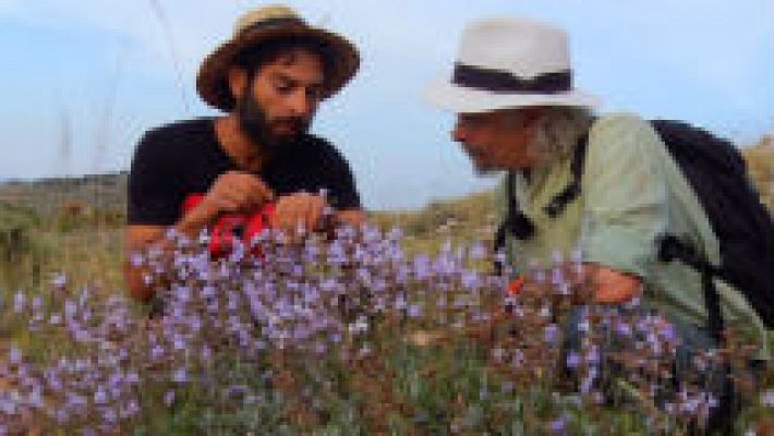 Dos hombres en la senda vegetal