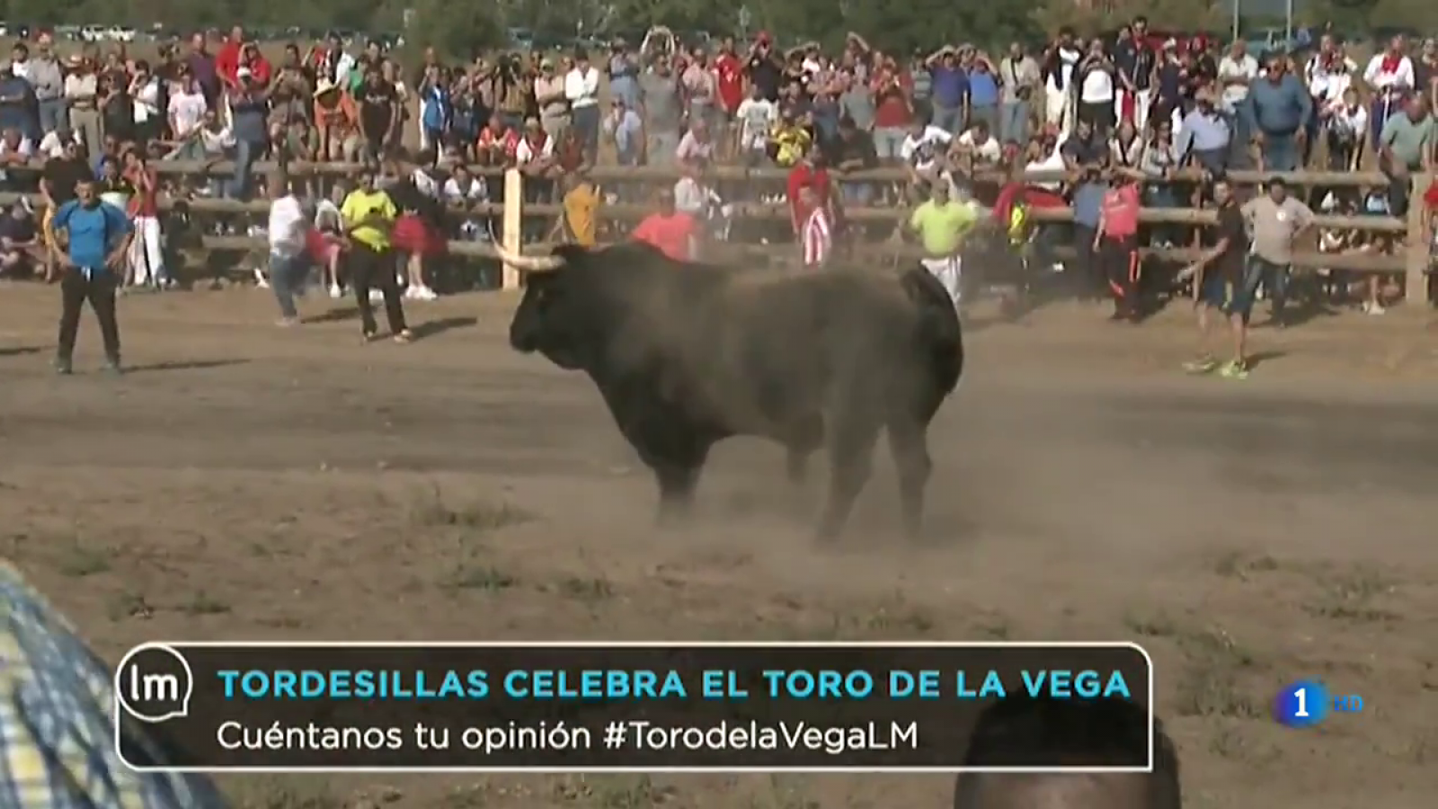 La Mañana - Tordesillas celebra el Toro de la Vega