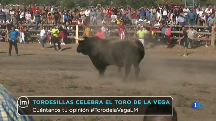 Tordesillas celebra el Toro de la Vega