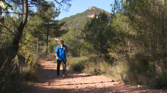 80 Cm - La Serra de Montserrat