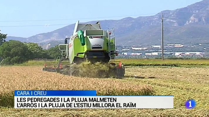 L'Informatiu - L'informatiu en 3 minuts - 13/09/2018