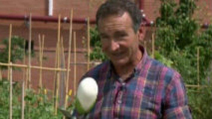 Aquí la Tierra - Un huerto lleno de color