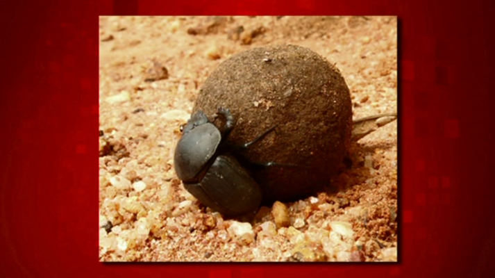 Saber y ganar - Saber y ganar - 13/09/18