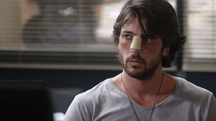 Servir y proteger - Episodio 345