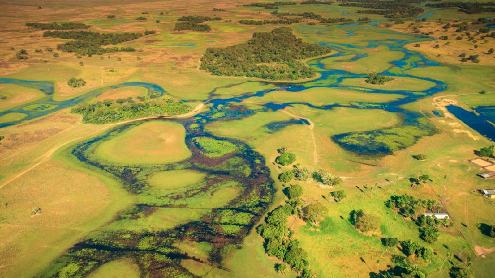 Grandes documentales - Brasil. Una historia natural: Un bosque frágil