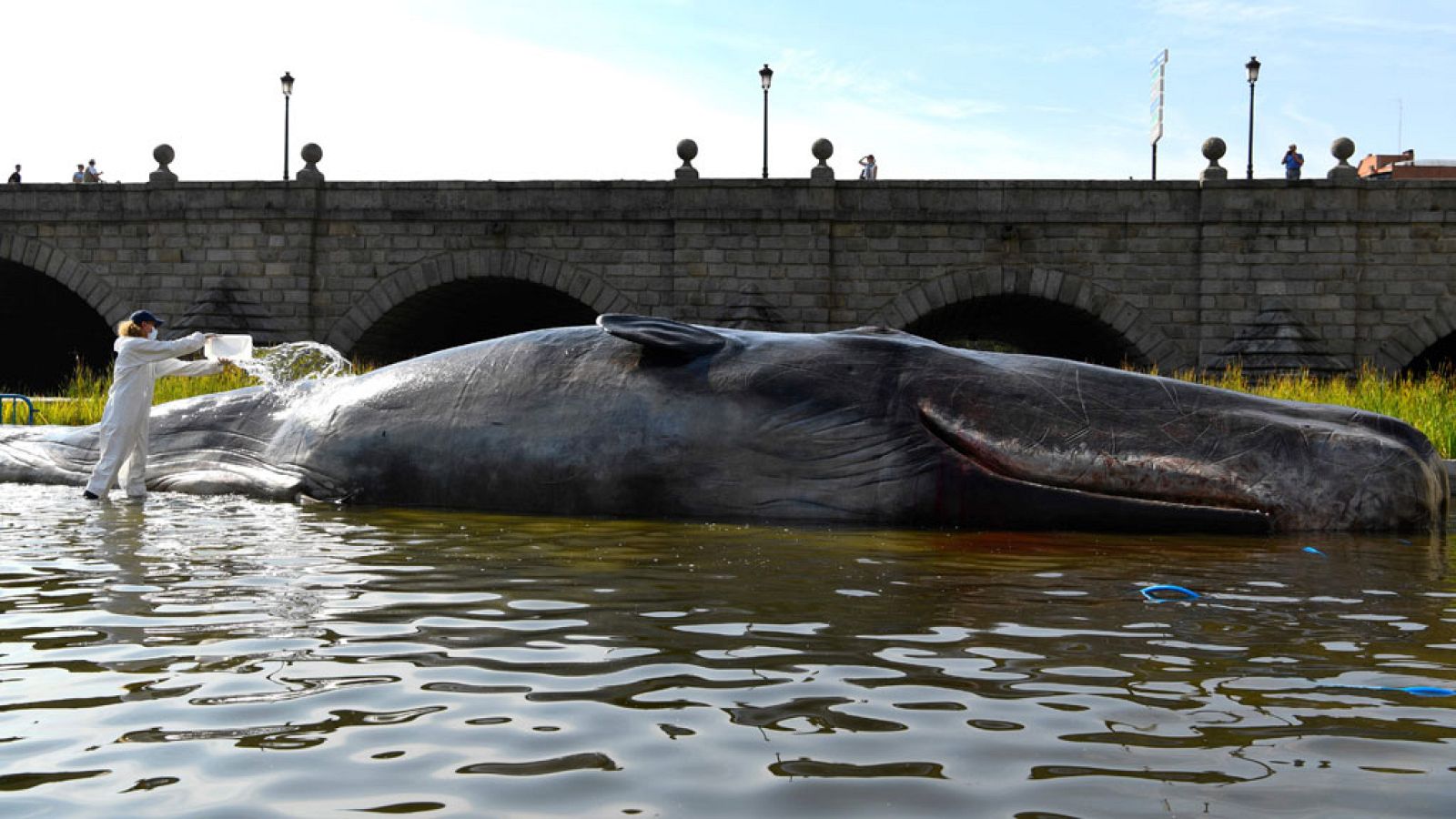 Informativo de Madrid - 14/09/18