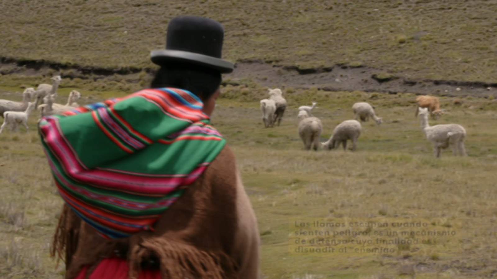 Comerse el mundo: Bolivia | RTVE Play