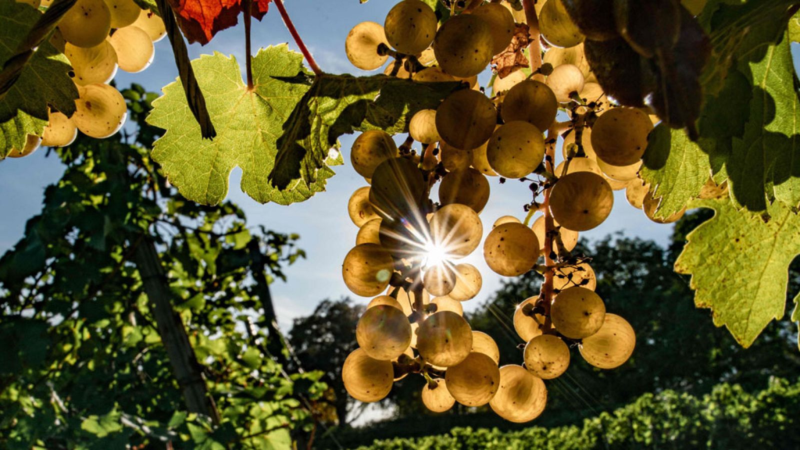 El Tiempo en la Comunidad de Madrid - 18/09/18