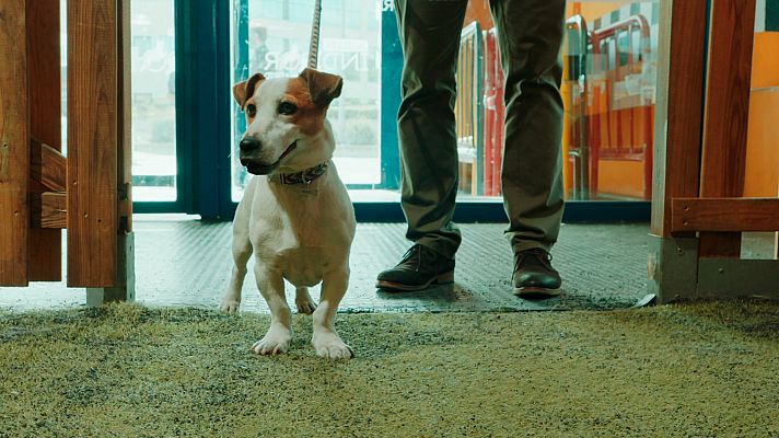 Sabuesos - Así comienza el capítulo 8