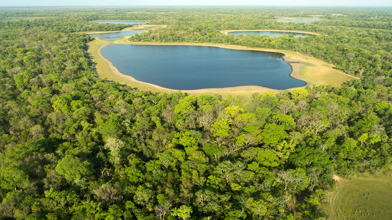 Grandes documentales - Brasil. Una historia natural: Laberinto de lagos - ver ahora