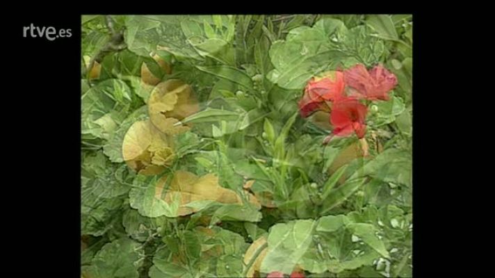 Gaudiana - Gaudí, natura i símbol