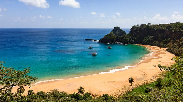 Brasil. Una historia natural: La costa paradisiaca